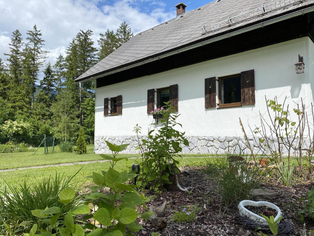 Chalet Am Weissenbach 힌터스토더 외부 사진