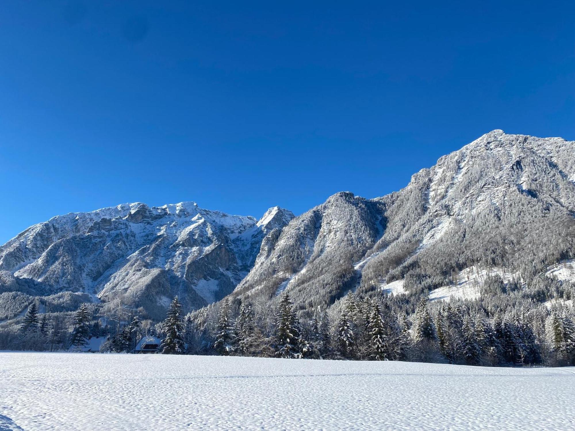 Chalet Am Weissenbach 힌터스토더 외부 사진
