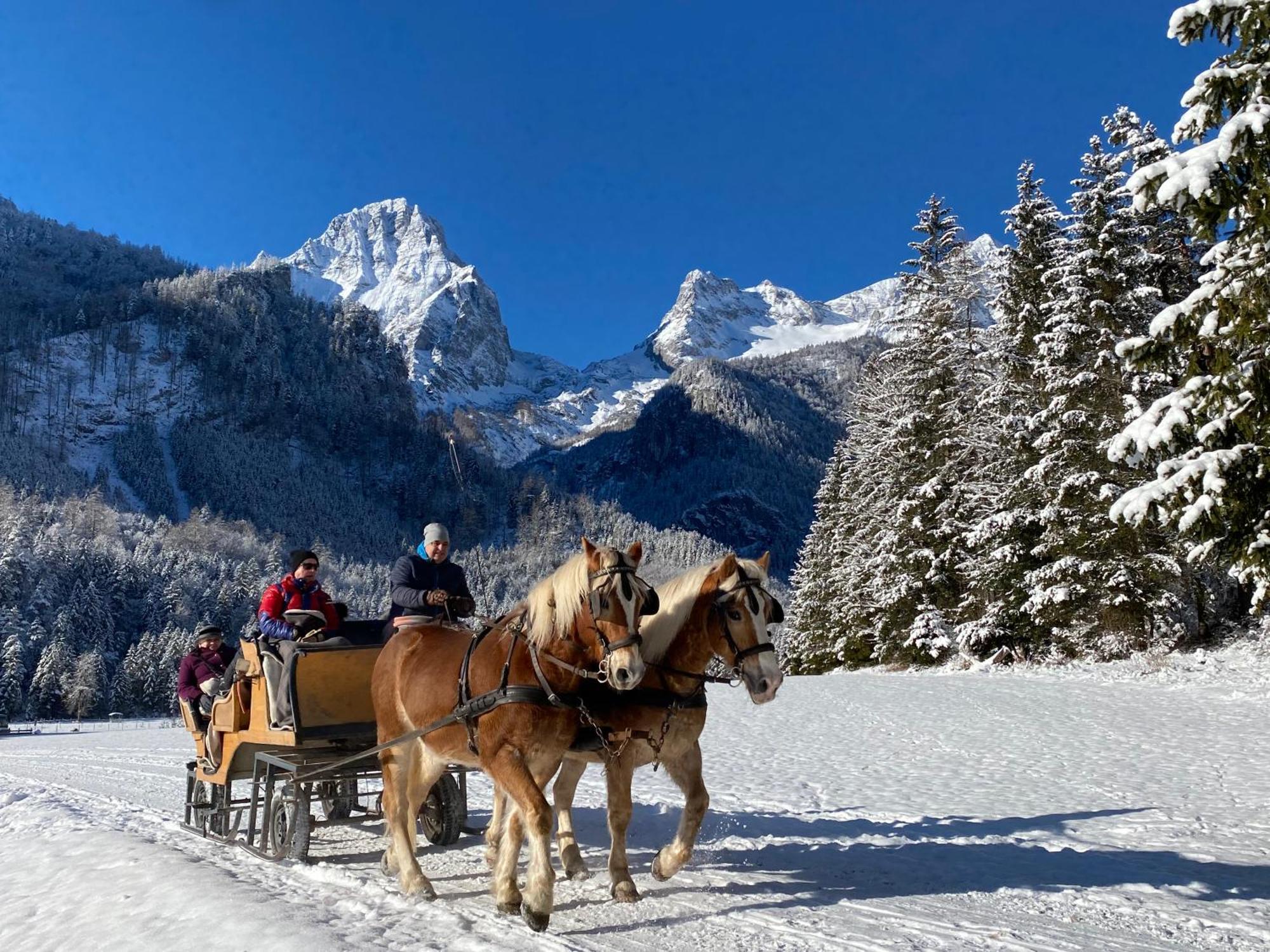 Chalet Am Weissenbach 힌터스토더 외부 사진